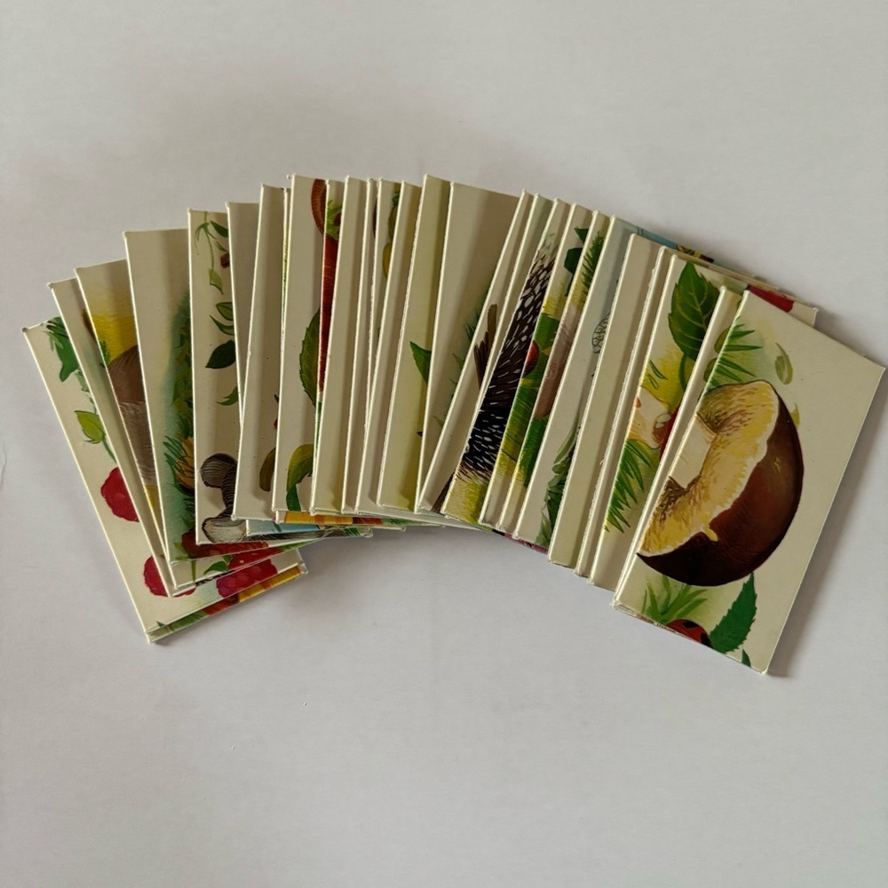 Vintage Nathan Forest Puzzle Domino Nature Animal Matching Kids Learning Toy - Picture 4 of 5
